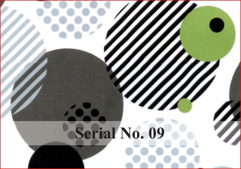 serial no 09