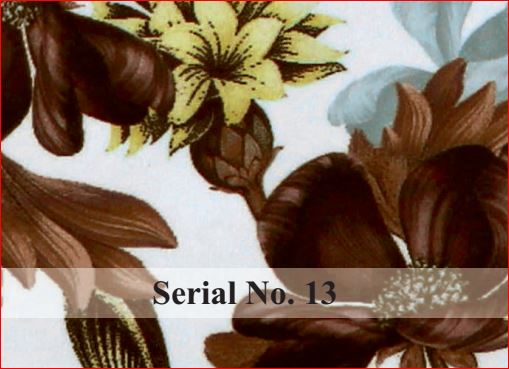 serial no 13