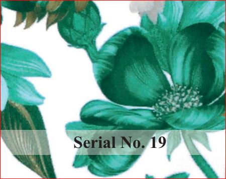 serial no 19