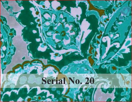 serial no 20