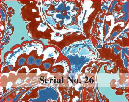 serial no 26