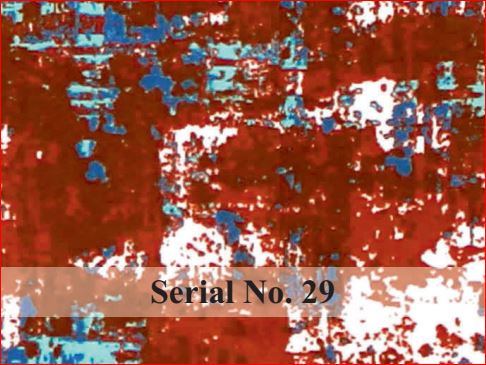 serial no 29